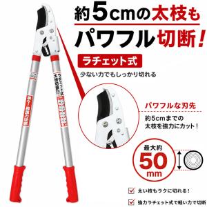 大進 ラチェット式 太枝切鋏 50mm 替刃式...の詳細画像1
