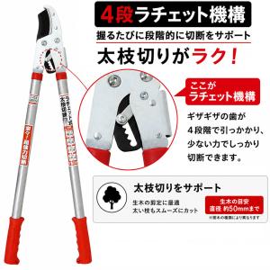 大進 ラチェット式 太枝切鋏 50mm 替刃式...の詳細画像3