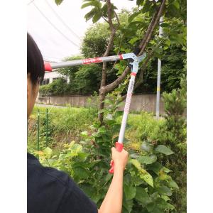 大進 ラチェット式 太枝切鋏 50mm 替刃式...の詳細画像5