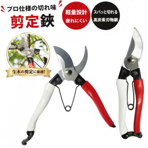 紅白剪定鋏　200ＭＭ 園芸用はさみ、果樹 庭木の剪定 盆栽　剪定道具　庭園作業 剪定ばさみ ハサミ 大進｜comcon株式会社