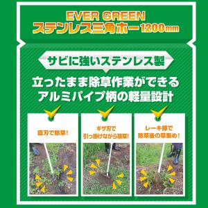 三角ホー レーキ付 アルミ柄 ステンレス 大進...の詳細画像2