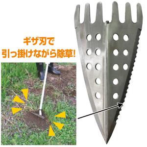 三角ホー レーキ付 アルミ柄 ステンレス 大進...の詳細画像4