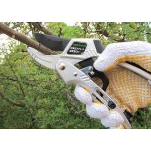 切替式 ラチェット 剪定鋏 DX 太い枝 枝き...の詳細画像3