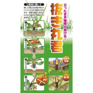 刃部にサビありのアウトレット品 抜き丸君 立っ...の詳細画像2