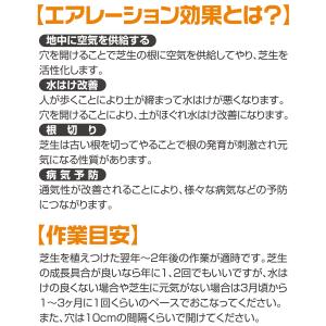 大進 芝 スパイク 靴 園芸 芝 エアレーショ...の詳細画像5