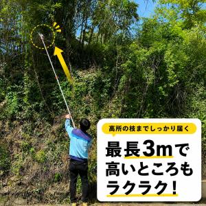 大進 高枝切りバサミ 3m 枝きりばさみ 枝き...の詳細画像2