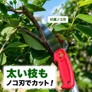 大進 高枝切りバサミ 3m 枝きりばさみ 枝き...の詳細画像5