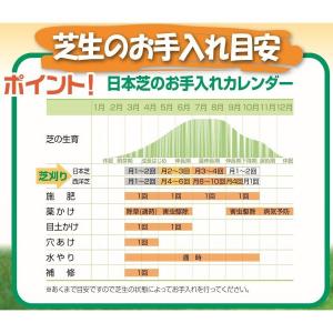 芝刈り機 手動 小型 芝刈機 刃調整手動式 手...の詳細画像1