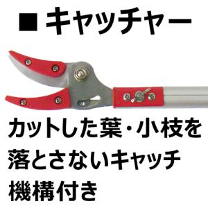 高枝切りバサミ 3m 剪定鋏 剪定ばさみ 枝切...の詳細画像1