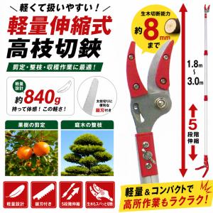 高枝切りバサミ 3m 剪定鋏 剪定ばさみ 枝切...の詳細画像1
