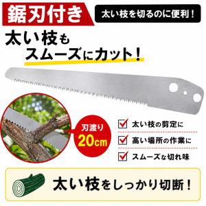 高枝切りバサミ 3m 剪定鋏 剪定ばさみ 枝切...の詳細画像3