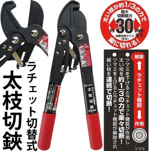 3月19〜22日 PAY+10% ラチェット切替式 太枝切鋏 大進  園芸 ガーデニング 農業 女性 庭 農作業 家庭菜園 用具 工具