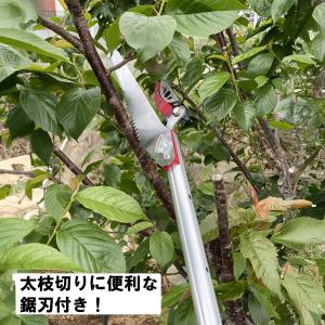 高枝切りバサミ 3m 太い枝 剪定鋏 剪定ばさ...の詳細画像4
