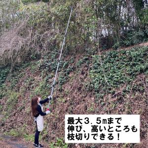 高枝切りバサミ 3.5m 太い枝 剪定 鋏 剪...の詳細画像2