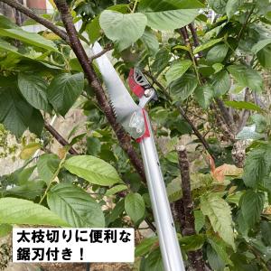 高枝切りバサミ 3.5m 太い枝 剪定 鋏 剪...の詳細画像4