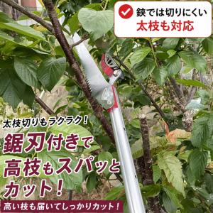 高枝切りバサミ 3.5m 太い枝 剪定 鋏 剪...の詳細画像4