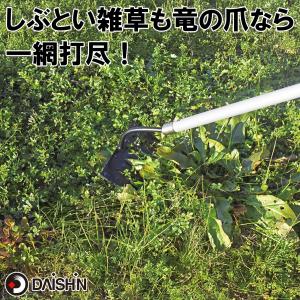 大進 草取りレーキ 龍の爪 長柄 根こそぎ 雑...の詳細画像5