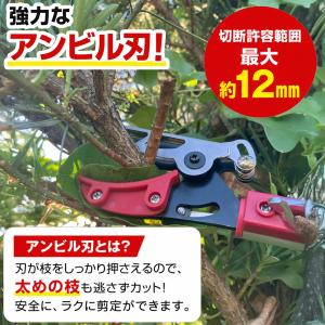 ちょうどいい2m 超軽量620g 鋸刃付き 大...の詳細画像2