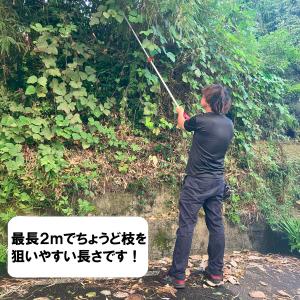 ちょうどいい2m 超軽量620g 鋸刃付き 大...の詳細画像3
