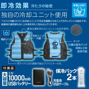 保冷剤6本入り セット 大進 水冷ベスト 水冷...の詳細画像3