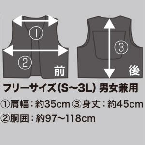 大進 水冷 と ペルチェ のハイブリッド 式 ...の詳細画像4