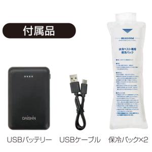 大進 水冷 と ペルチェ のハイブリッド 式 ...の詳細画像5