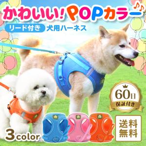 犬 ハーネス リード セット POPカラー おしゃれ かわいい 小型犬 中型犬