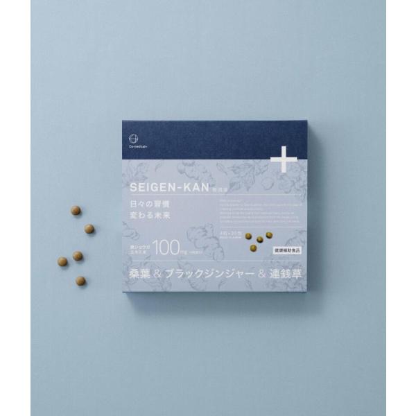 CO整減漢 ダイエットサプリ ブラックジンジャー