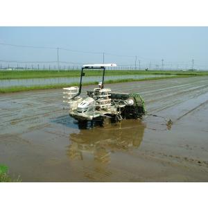 ◆つや姫・雪若丸無洗米各5kg 令和7年産の詳細画像5