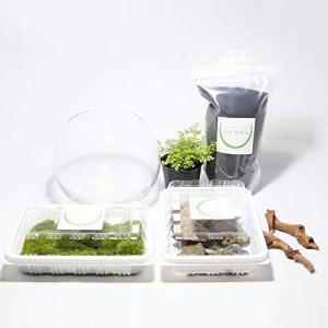 苔栽培 容器の商品一覧 通販 Yahoo ショッピング