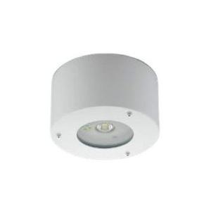 Panasonic（パナソニック） 受注品 NNFB93045Z 非常灯 専用形 中天井用