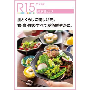 ダウンライト LED オーデリック 埋込穴φ1...の詳細画像2