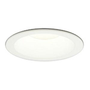 ODELIC（オーデリック） OD261888RS LEDダウンライト : でんきサロンま