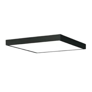 ODELIC（オーデリック） オーデリック[OL291508BR]（ODELIC）LED