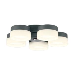 ODELIC（オーデリック） WF249P1 シーリングファン(チャコールグレー色