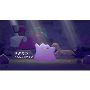 新品 【Nintendo Switch 2 専...の詳細画像1