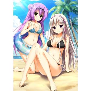 ■新品■ Vita プラマイウォーズＶ(限定版)【COMG!オリジナルクオカード付】