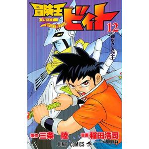 冒険王ビィト 12巻｜comicmatomegai