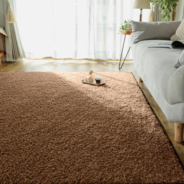 130x190cm ジェム ブラウントパーズ ラグ マット リビングラグ 防炎 防ダニ 抗菌 防臭 ...