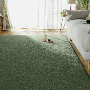 190x240cm ジェム セラフィナイト ラグ マット リビングラグ 防炎 防ダニ 抗菌 防臭 洗える オールシーズン おしゃれ ホットカーペット 床暖房 高級感｜commitand