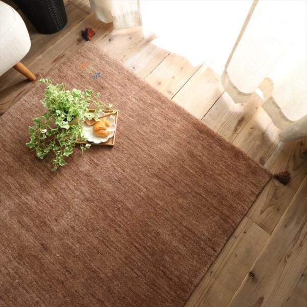 190x240cm シンプルギャッベラグ BR