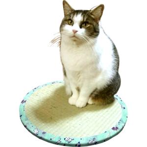 い草雑貨 ねこちゃん畳2 ペットクッション ペットマット かわいい 猫クッション 猫用 ペット用 可愛い 猫グッズ おしゃれ 小型 座布団｜commitand