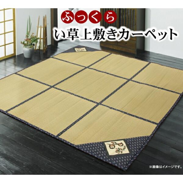 い草ラグ 夏用 ウレタン6mm入り い草カーペット 『FXふくろう』 約180×180cm ふっくら...