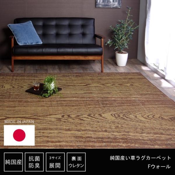 送料無料 国産 い草 上敷き い草カーペット カーペット い草 ラグ い草ラグ ウレタン入り ふっく...