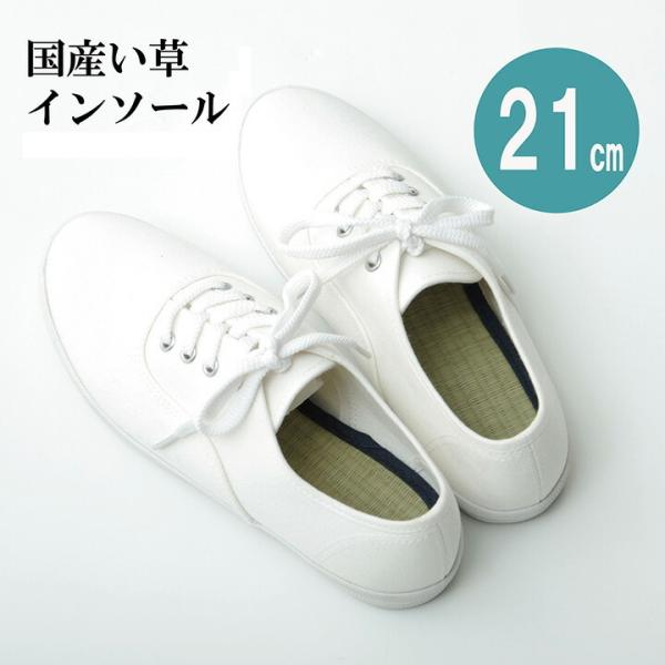 送料無料 インソール ジュニア 消臭 抗菌 い草インソール 約21cm 中敷き なかじき ナカジキ ...