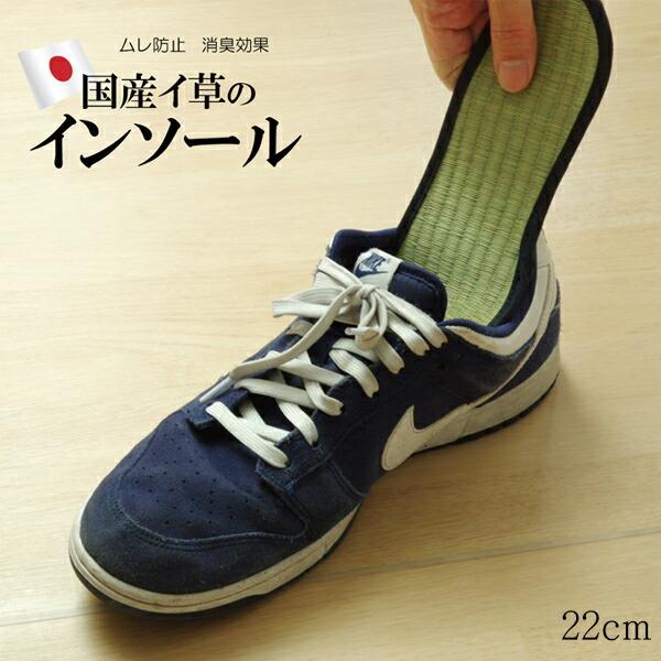 送料無料 インソール レディース 消臭 抗菌 『い草インソール』 約22cm なかじき ナカジキ 中...