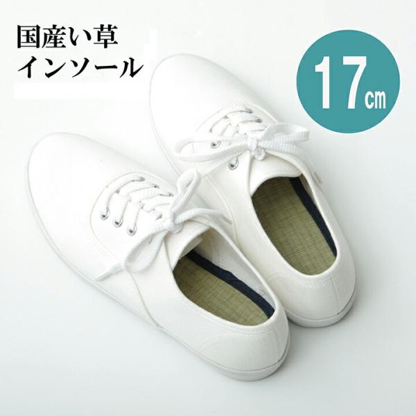 送料無料 インソール ジュニア 消臭 抗菌 い草インソール 約17cm 中敷き なかじき ナカジキ ...