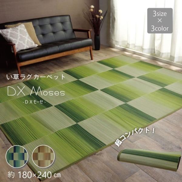 送料無料 い草 上敷き い草カーペット カーペット い草 ラグ い草ラグ ふっくら シンプル DXモ...