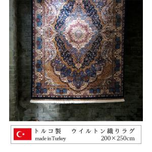 カーペット 200×250cm 長方形 150...の詳細画像1