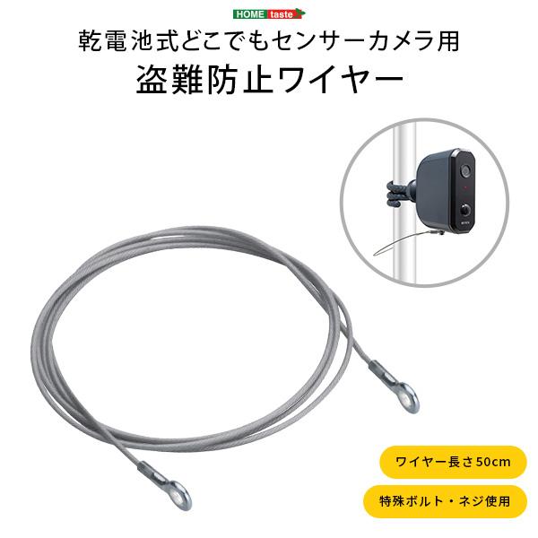 乾電池式どこでもセンサーカメラ用　盗難防止ワイヤー単品